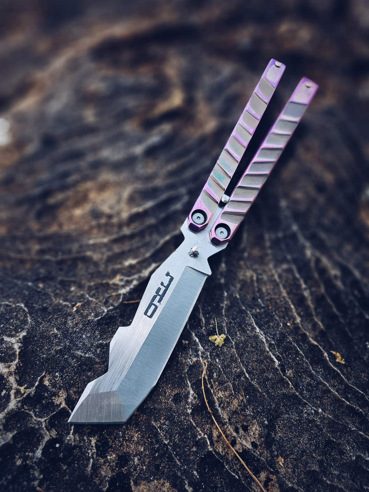 formato-vertical-OKC-mariposa-1