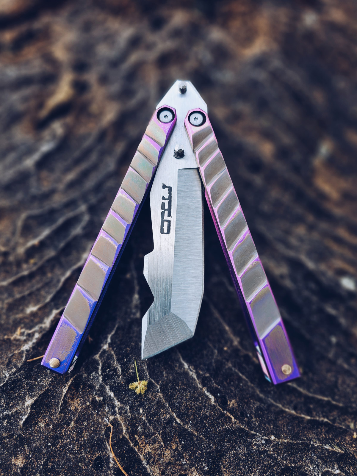formato-vertical-OKC-mariposa-2